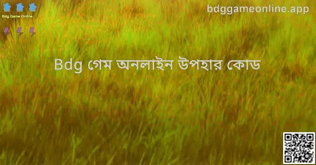 Bdg Game Online উপহার কোড হিরো ইমেজ